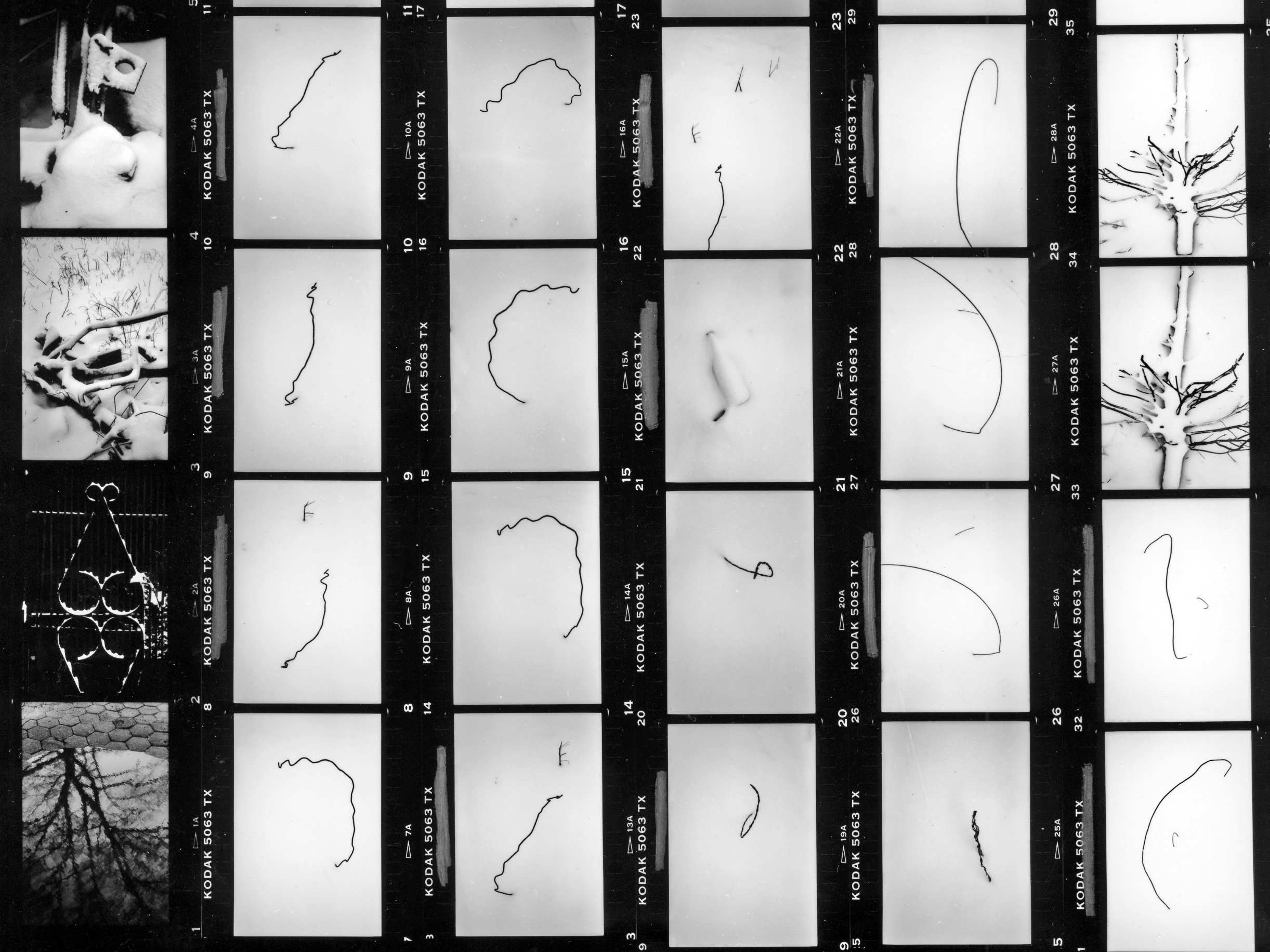 Consecutive frames: Usuyuki NYC 1991 - Tim Trompeter