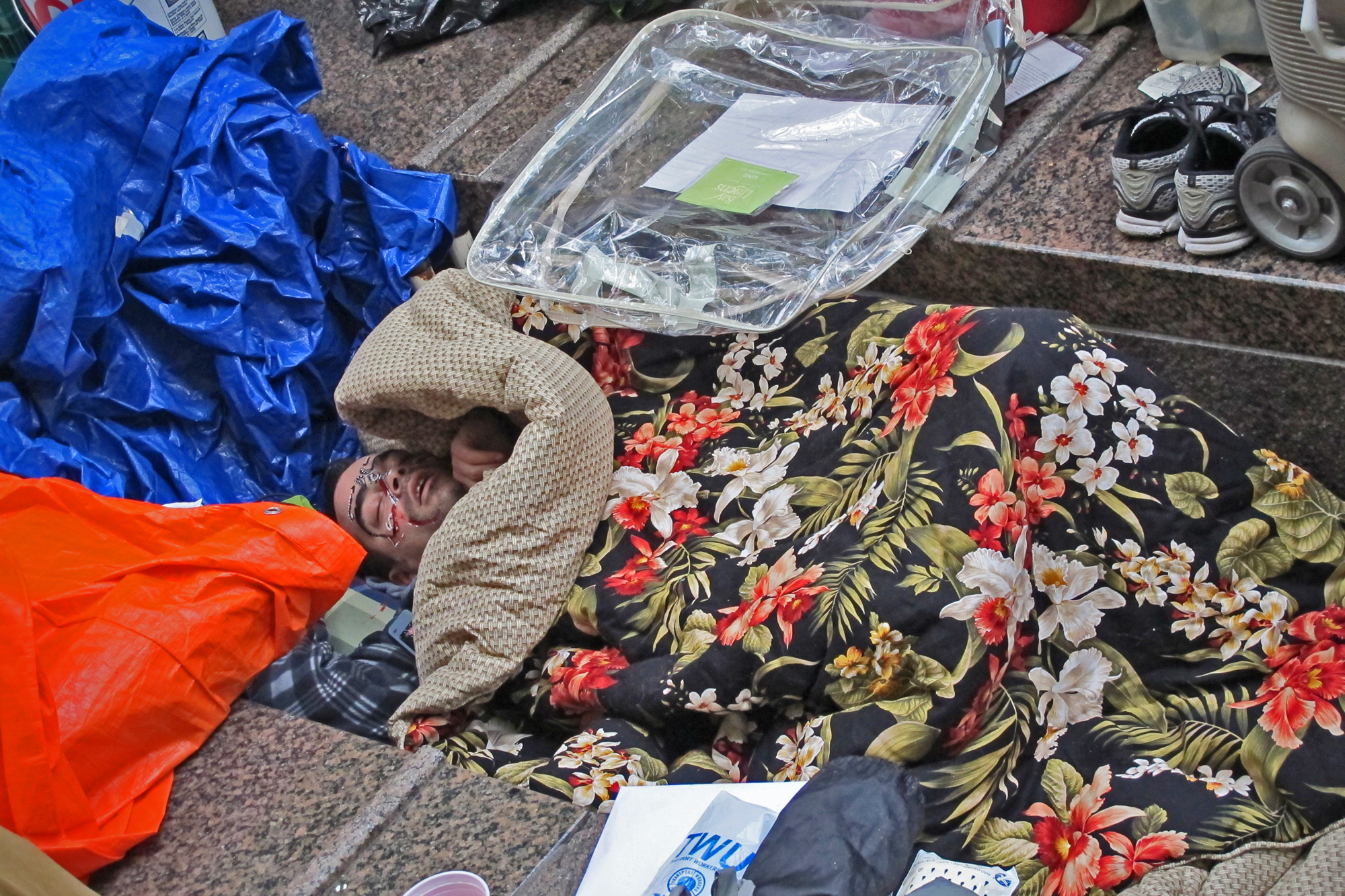 Occupy Wall Street (2011)